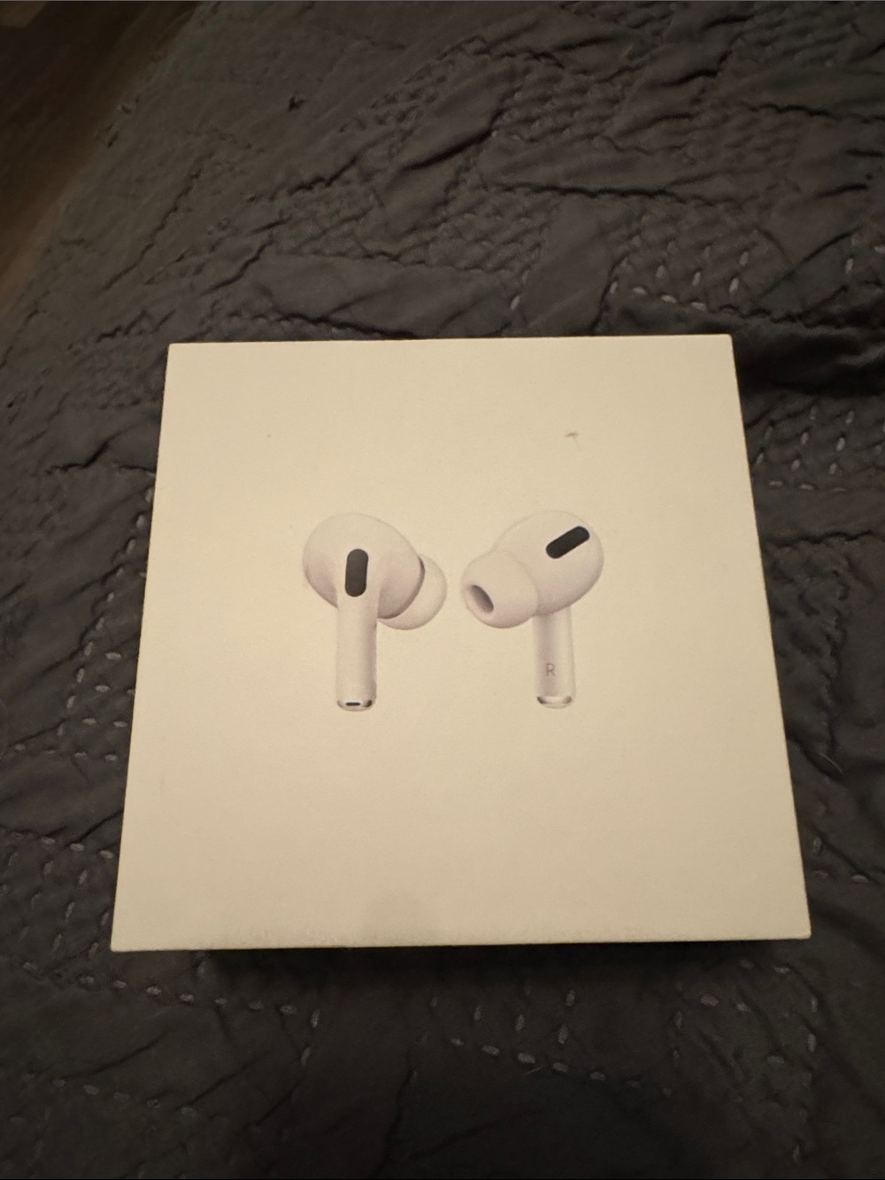 Apple White AirPods Pro Charging Case and Earbuds Box